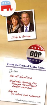 A political flyer against Libby Szabo says To Do, Ban All Abortions.