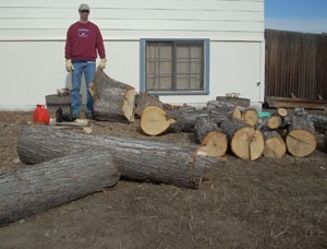 The author standing in front of a house around large pieces of a sawed-up tree.
