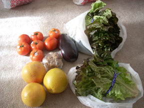 Walnuts, an eggplant, tomatoes, grapefruit, and lettuce..