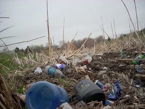 Trash on Westminster open space.