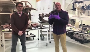 Two men stand, onscreen, in a room at the Denver Museum of Nature and Science, in front of dinosaur fossils and taxidermy birds.