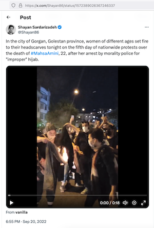 Iranians burning the hijab.